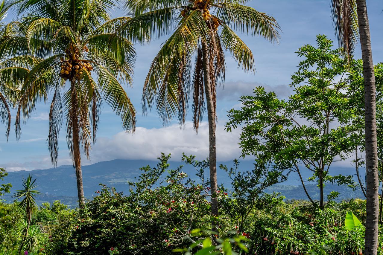 Villa Margarita Animas  Luaran gambar